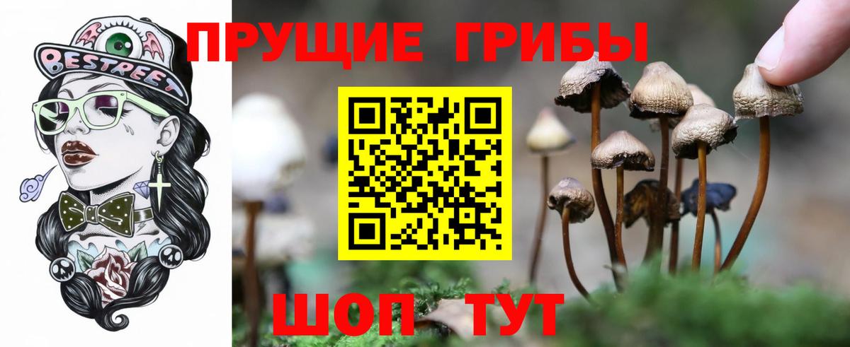 Псилоцибиновые грибы GOLDEN TEACHER Артём